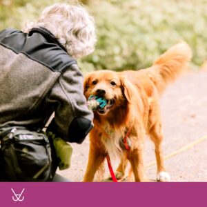 Markersignal: Wirksam trainieren mit Deinem Hund [Digital]